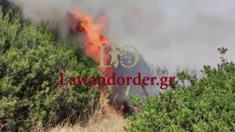 Ξέσπασε μεγάλη φωτιά στη Ρόδο (βίντεο)