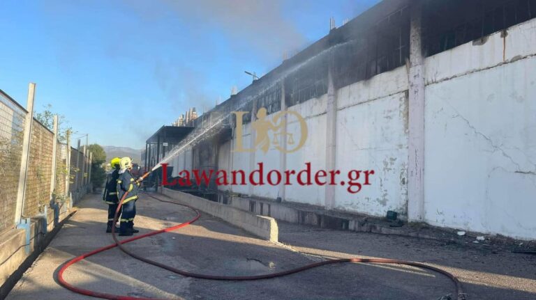 Υπό έλεγχο η πυρκαγιά στη Μαγούλα σε βιομηχανικό χώρο (εικόνες & βίντεο)