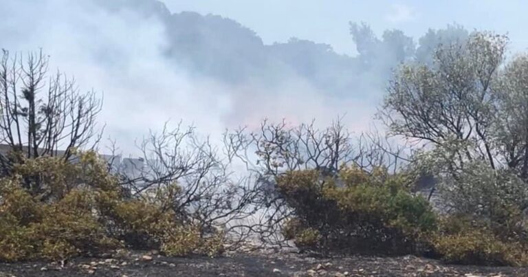 «Η φωτιά στην Λούτσα οριοθετήθηκε, δεν υπάρχουν ενεργά μέτωπα», λέει η Πυροσβεστική στο «L&O»