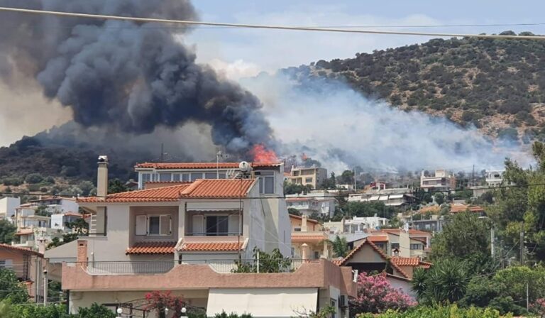 Αγωνία για τα σπίτια από την φωτιά στη Λούτσα (εικόνες)