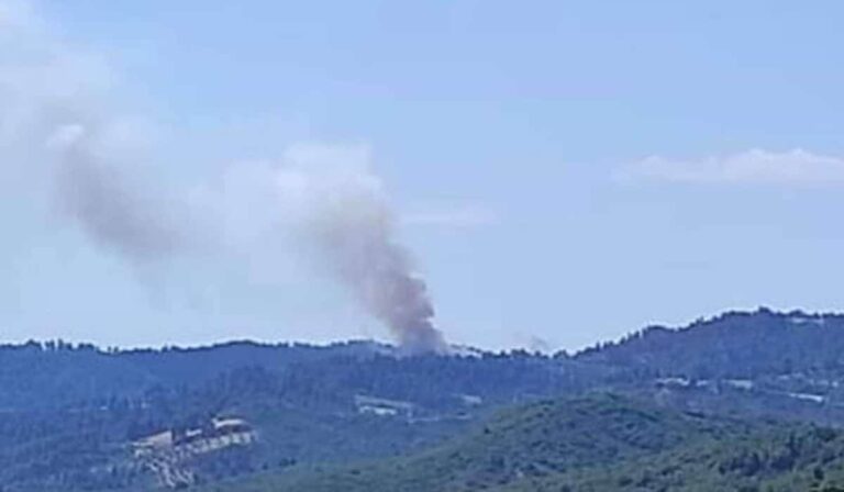 Χαλκιδική: Σε ύφεση η φωτιά σε δασική έκταση στην Κασσάνδρα