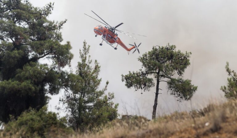 Θεσσαλονίκη: Έτσι θα θωρακιστεί το Σέιχ Σου από τις φωτιές – Τέλος καλοκαιριού τα ραντάρ