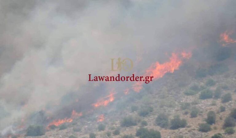 Φωτιά στην Άνω Βούλα: Σε αυλές σπιτιών έχουν φτάσει οι φλόγες – Εκκενώνονται σπίτια στο Πανόραμα (εικόνες & βίντεο)