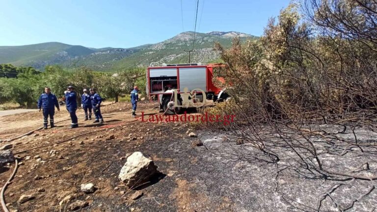 Φωτιά στο Πόρτο Γερμενό