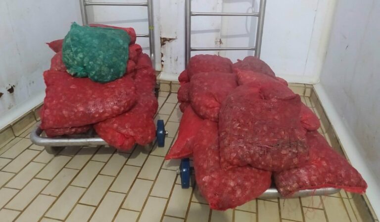 Αλεξανδρούπολη: Τον τσάκωσαν με 400 κιλά όστρακα που έφερε παράνομα από την Τουρκία