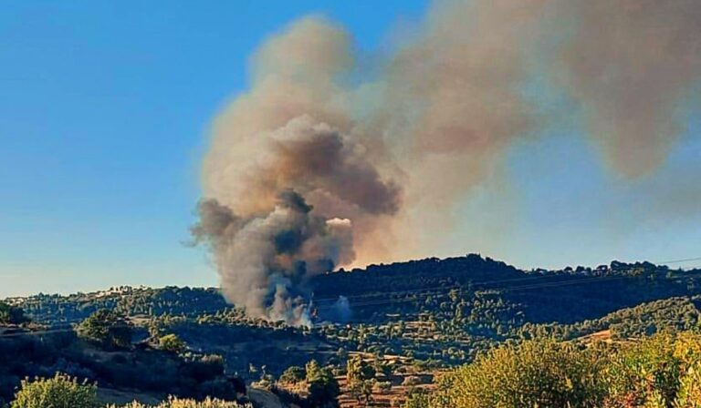 Έκτακτη ενημέρωση για τις πυρκαγιές στις 12:00 – Βελτιωμένη η εικόνα σε Φωκίδα και Αργολίδα