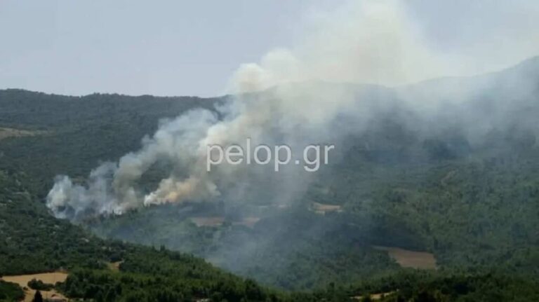 Φωτιά στην Αχαΐα: Η μαρτυρία βοσκού για έκρηξη και η δραματική επιχείρηση διάσωσης για οικογένεια (βίντεο)