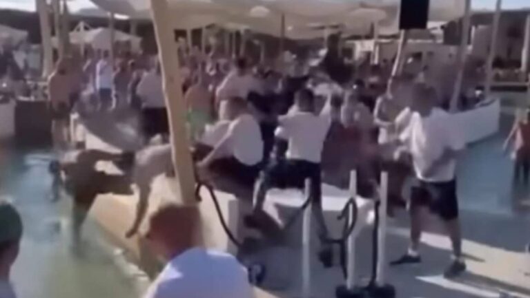 Μύκονος: Απίστευτο ξύλο σε beach bar – Άγρια «μάχη» με μπουνιές και κλωτσιές