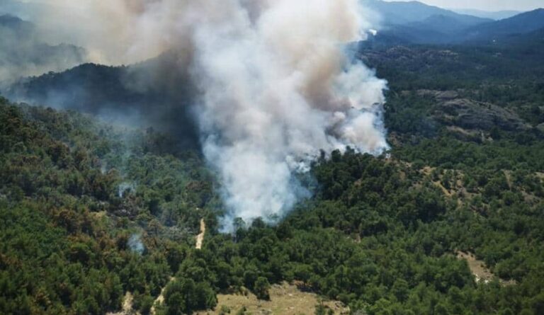 Φωτιά στη Δαδιά: Μήνυμα από το 112 για εκκένωση προς Σουφλί