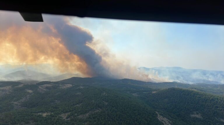 Ο απολογισμός της καταστροφής στο Εθνικό Πάρκο της Δαδιάς μετά τη φωτιά και η επόμενη μέρα