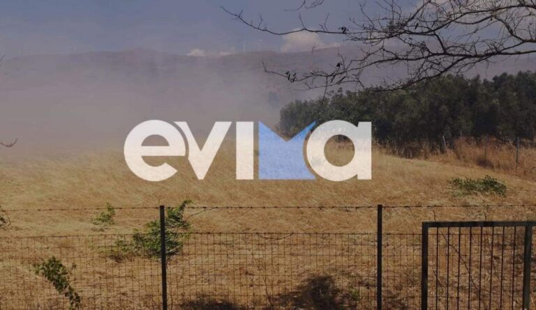 Υπό έλεγχο η φωτιά στον Κάβο Καρύστου