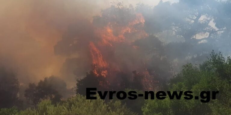Μεγάλη φωτιά στον Έβρο – Ενισχύονται οι πυροσβεστικές δυνάμεις