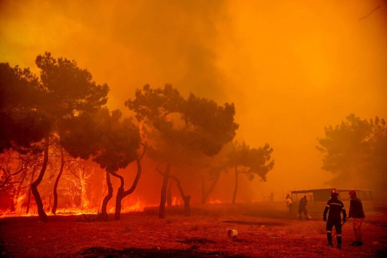 Φωτιές: Μαίνονται οι φλόγες στα Βατερά – 5 πύρινα μέτωπα στη Δαδιά, οι σκέψεις για εκκένωση (εικόνες & βίντεο)