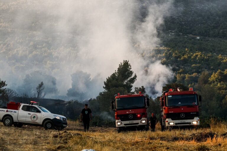 Πυροσβεστική για τη φωτιά στη Δαδιά: «Το μέτωπο κινείται σε παρθένες δασικές εκτάσεις»