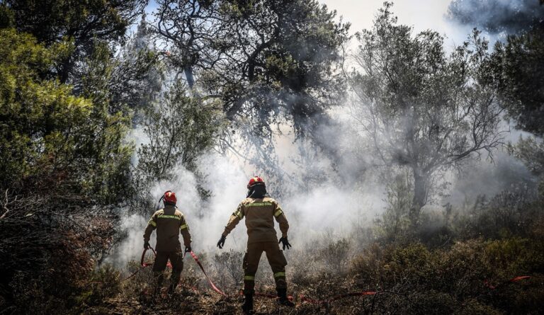 Φωτιές: Η μάχη των πυροσβεστών σε όλα τα μέτωπα – «Παλεύουν» με τις φλόγες