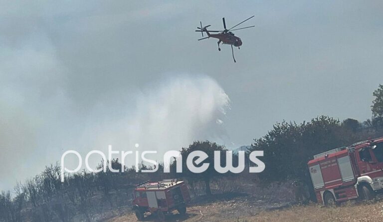 Φωτιές: Πύρινα μέτωπα σε Ηλεία, Έβρο και Κεφαλονιά