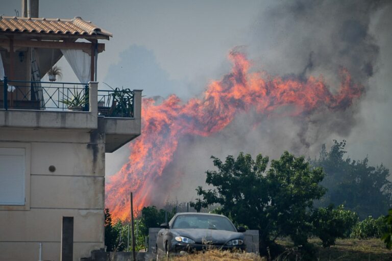 Πυροσβεστική: 35 δασικές πυρκαγιές σε μία ημέρα