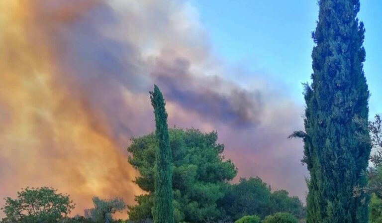 Meteo: Δυσμενείς πυρομετεωρολογικές συνθήκες σήμερα και αύριο – Ο άνεμος μεταφέρει καύτρες στα 700 μέτρα