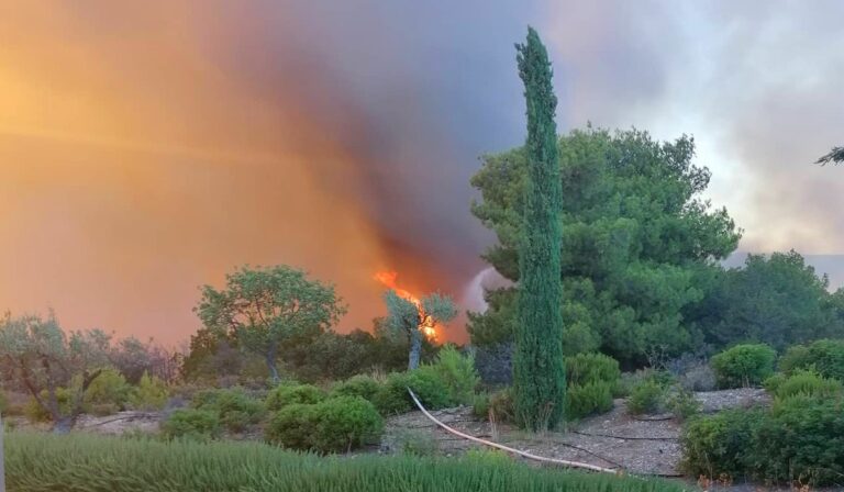 Αργολίδα: Σε εξέλιξη η φωτιά στην περιοχή Κορακιά Κρανιδίου – Ξεκίνησαν να επιχειρούν τα εναέρια μέσα