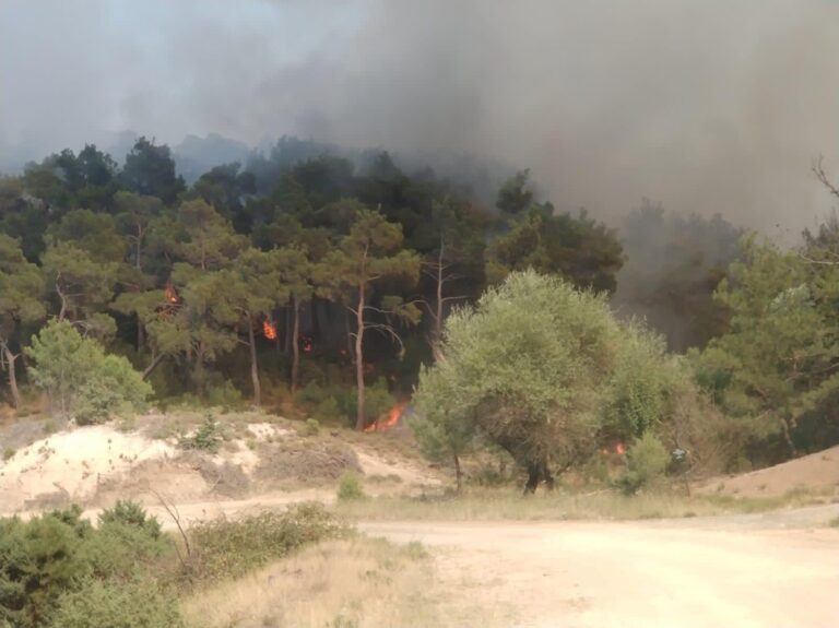 Φωτιά στη Δαδιά: Καίγεται για έβδομη μέρα το παρθένο δάσος