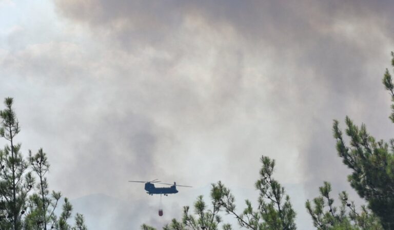 Βελτιωμένη η εικόνα στον Έβρο – Ένα ενεργό μέτωπο στο δάσος της Δαδιά (βίντεο)