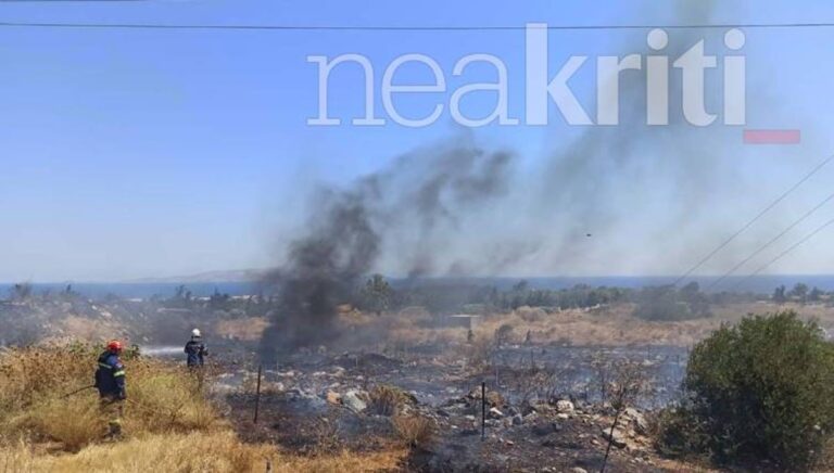 Ηράκλειο: Πλήρως οριοθετημένη η φωτιά στον Καρτερό (βίντεο)