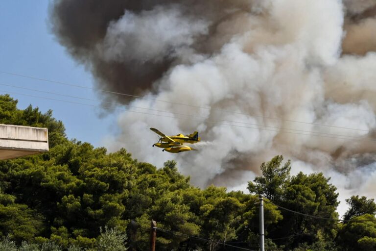 Ρέθυμνο: Χωρίς ενεργό μέτωπο η πληγείσα περιοχή – Κάηκαν πάνω από 15.000 στρέμματα