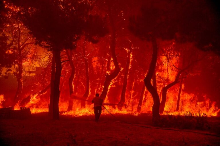 Φωτογραφία αρχείου