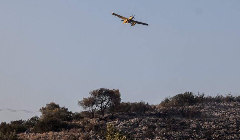 Κοζάνη: Έσβησε η φωτιά στον εθνικό δρυμό στη Βάλια Κάλντα