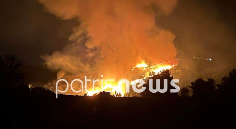Φωτιά στον Πύργο Ηλείας