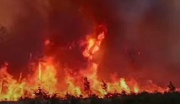 Συναγερμός στη δυτική Ευρώπη: Στις φλόγες μεγάλες εκτάσεις σε Γαλλία και Ισπανία