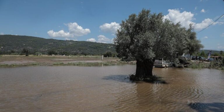 Οχυρώνονται για την κακοκαιρία στη Βόρεια Εύβοια – Ποιες περιοχές βρίσκονται σε επιφυλακή