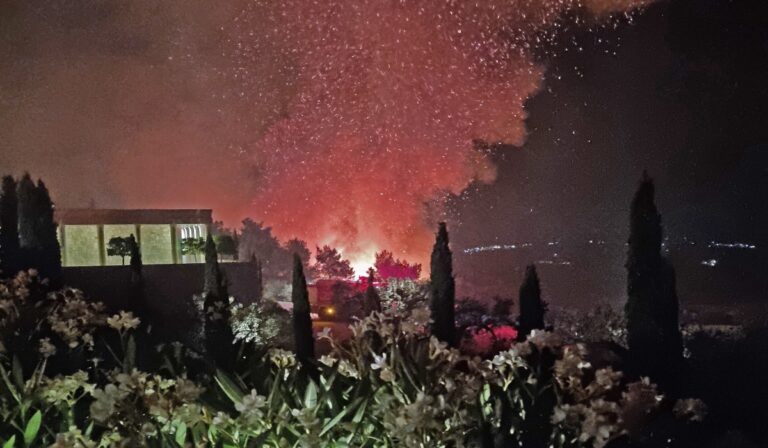 Αργολίδα: Δύο συλλήψεις για τη φωτιά στο Κρανίδι – Από βραχυκύκλωμα ξεκίνησε το μέτωπο