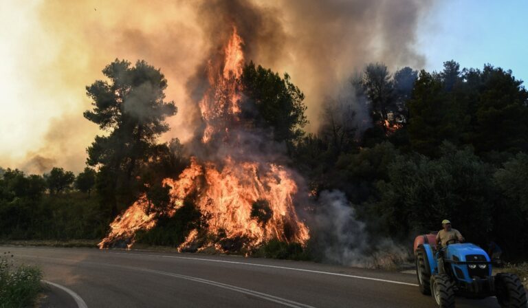 Δύο συλλήψεις για τη φωτιά στη Μάνδρα