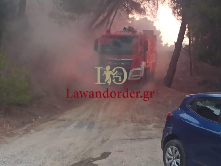 Φωτιές: Καλύτερη η εικόνα στην Πάτρα, αισιοδοξία και για το Ρέθυμνο – «Δύσκολη η νύχτα» (εικόνες & βίντεο)