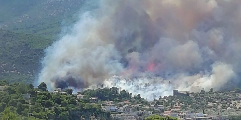 Φωτιά ξέσπασε στο Πόρτο Γερμενό – Στο σημείο σπεύδουν ισχυρές δυνάμεις της Πυροσβεστικής