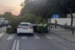 Πτώση δέντρου σε αυτοκίνητο στη Χαριλάου Θεσσαλονίκης