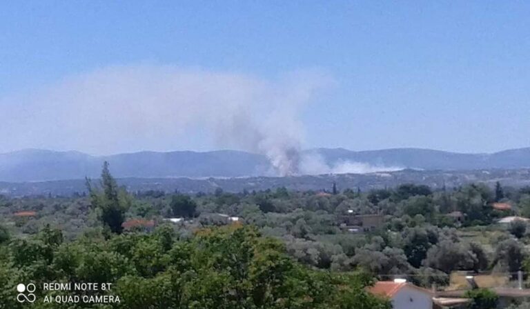 Μεγάλη φωτιά ξέσπασε στο Σχηματάρι Βοιωτίας (εικόνες)