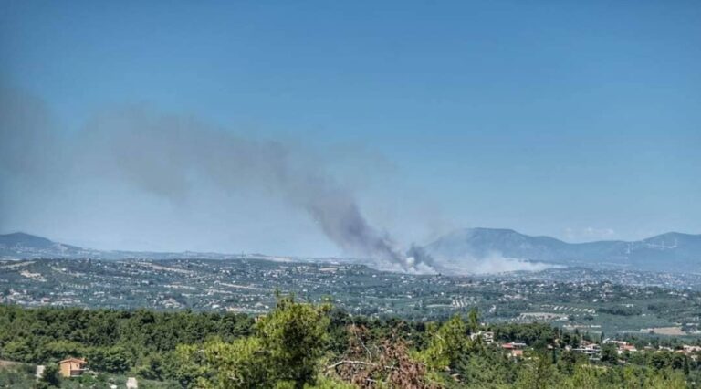 Πυρκαγιά στο Σχηματάρι: Δόθηκε εντολή εκκένωσης του οικισμού Βρυσουλα (εικόνες & βίντεο)