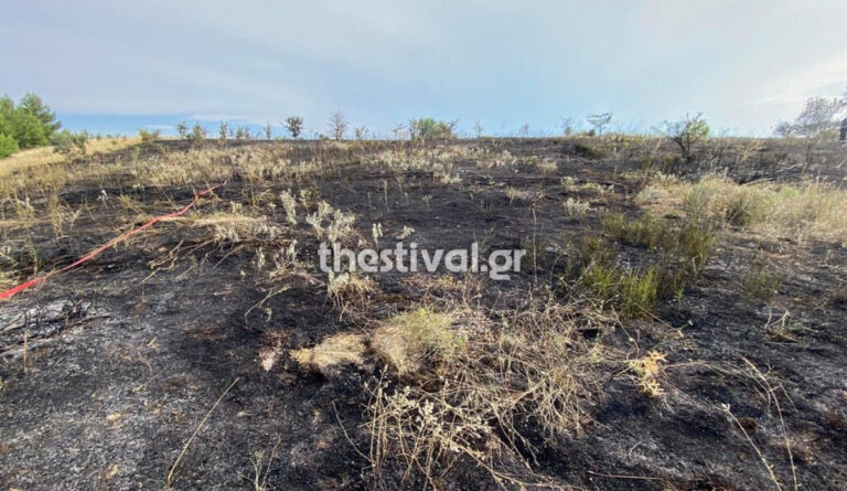 Θεσσαλονίκη: «Βλέπαμε τις φλόγες απέναντι από το σπίτι» λένε οι κάτοικοι αλλά οι πυροσβέστες «δάμασαν» άμεσα τη φωτιά