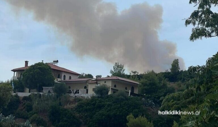 Φωτιές στη Χαλκιδική: Ενισχύθηκαν οι δυνάμεις στη Μόλα Καλύβα – «Σηκώθηκαν» αεροπλάνα και ελικόπτερα (βίντεο)