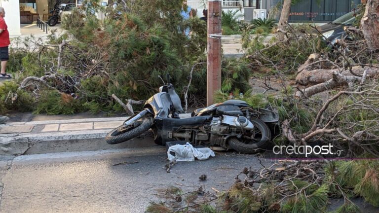 Σοκ στο Ηράκλειο: Νεκρός 50χρονος οδηγός μηχανής – Καταπλακώθηκε από δέντρο (εικόνες)