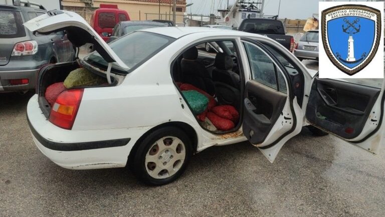 Αλεξανδρούπολη: Θα «έσπρωχνε» στην αγορά 340 κιλά όστρακα ακατάλληλα για κατανάλωση