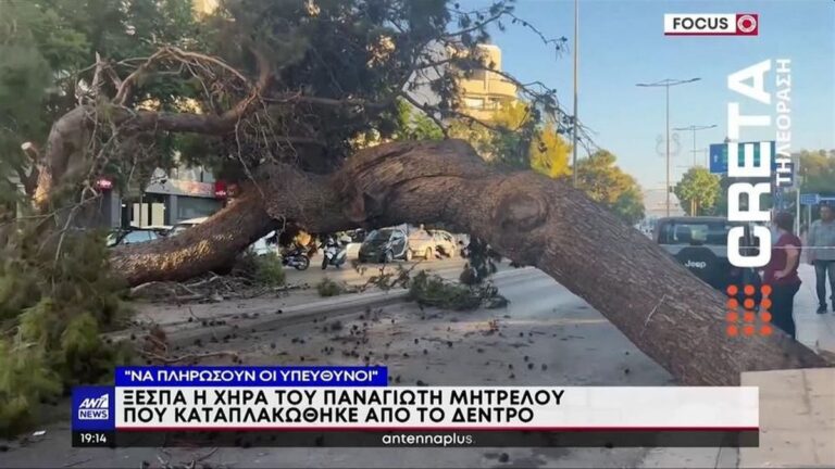 Θάνατος από πτώση δέντρου στο Ηράκλειο – Ξεσπά η χήρα του 51χρονου: «Πρόκειται για δολοφονία, να κάτσουν κάποιοι μέσα» (βίντεο)