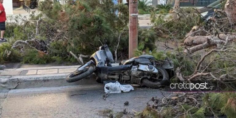 Ηράκλειο: Ξεσπά η σύζυγος του 51χρονου που σκοτώθηκε από πτώση δέντρου: «Ήταν δολοφονία, δεν θα ξαναδεί τα παιδιά του» (βίντεο)