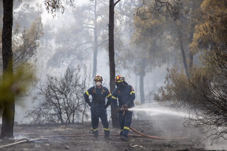 Φωτιά στην Κέρκυρα: Μήνυμα από το 112