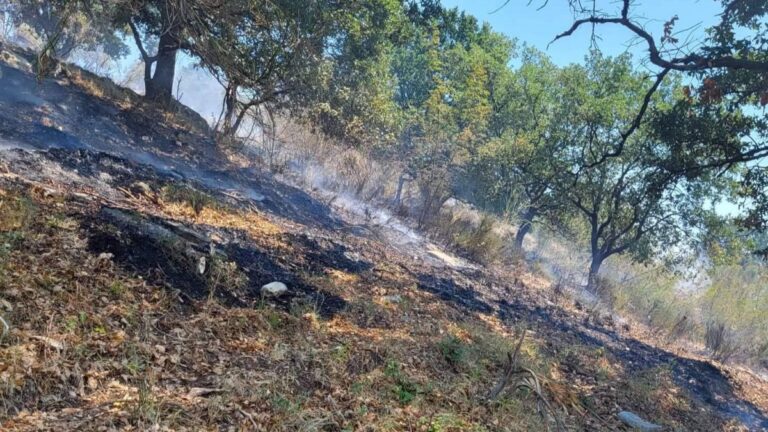 Πυροσβεστική: Πόσες πυρκαγιές μπήκαν το τελευταίο 24ωρο σε όλη τη χώρα – Πρόστιμα σε 6 άτομα