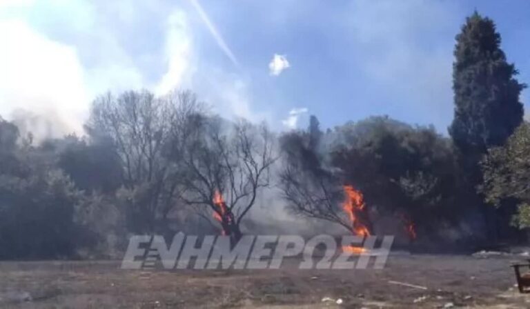 Υπό έλεγχο η φωτιά στην Αγία Γουργή Κέρκυρας (βίντεο)