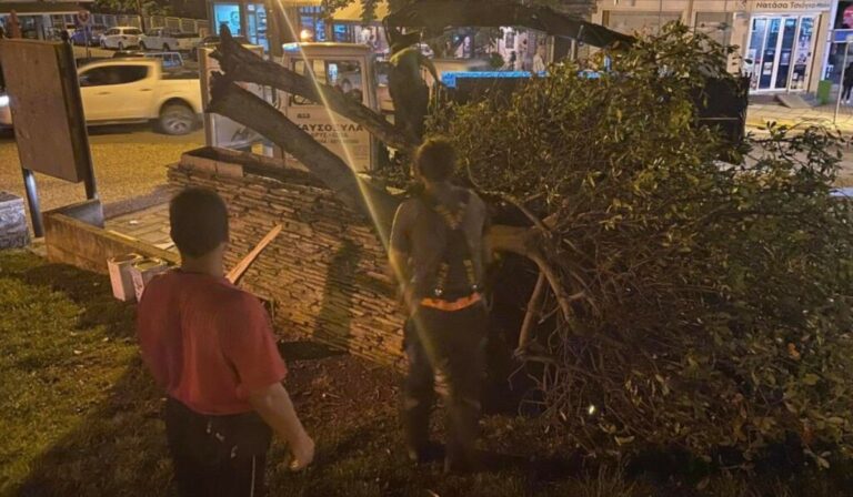 Η κακοκαιρία δημιούργησε πολλά προβλήματα στην Κεντρική Μακεδονία – Η Πυροσβεστική δέχθηκε 120 κλήσεις