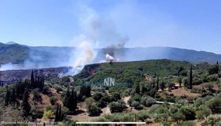 Βελτιωμένη η εικόνα στη φωτιά στη Ναύπακτο (βίντεο)